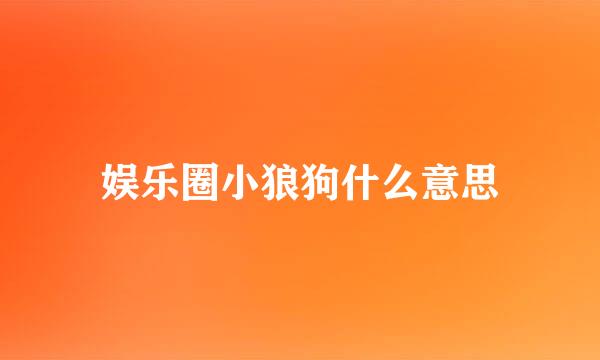 娱乐圈小狼狗什么意思