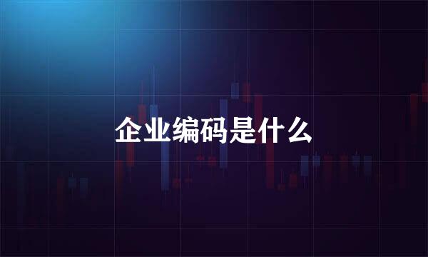 企业编码是什么