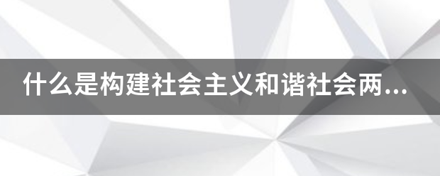 什么是构建社会主义和谐社会两大支柱