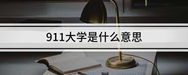 911大学是什么意思