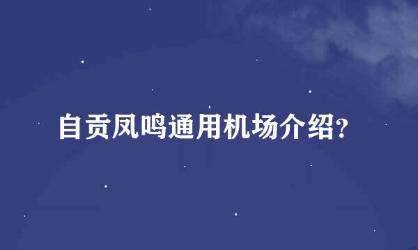 自贡凤鸣通用机场介绍？