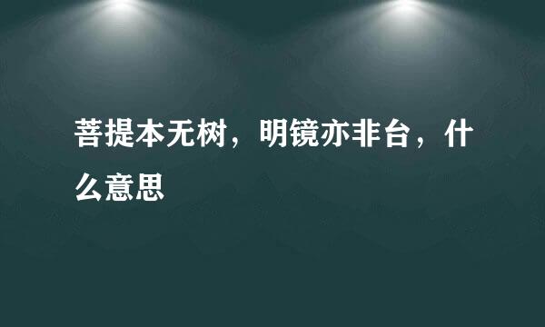 菩提本无树，明镜亦非台，什么意思