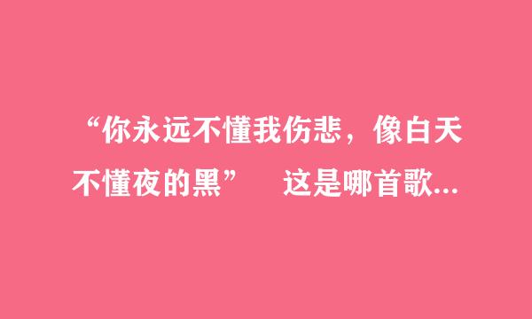 “你永远不懂我伤悲，像白天不懂夜的黑” 这是哪首歌的歌词？