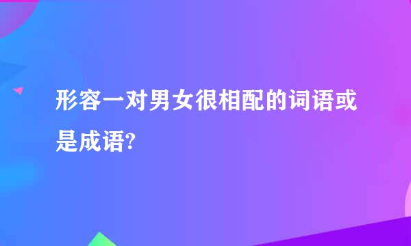 形容一对男女很相配的词语或是成语?