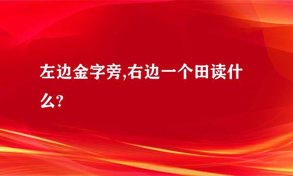 左边金字旁,右边一个田读什么?