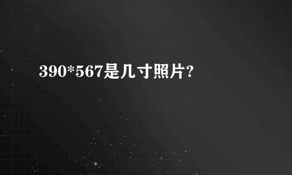 390*567是几寸照片?