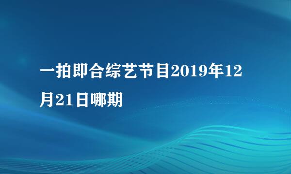 一拍即合综艺节目2019年12月21日哪期