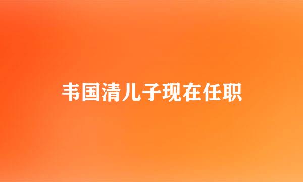 韦国清儿子现在任职