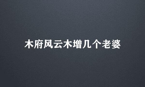 木府风云木增几个老婆