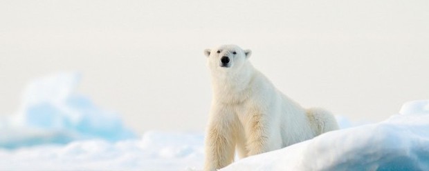 冷空气上升还生特脸线之回关是下降