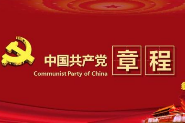 党的组织系统是由什么组织形成的