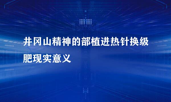 井冈山精神的部植进热针换级肥现实意义