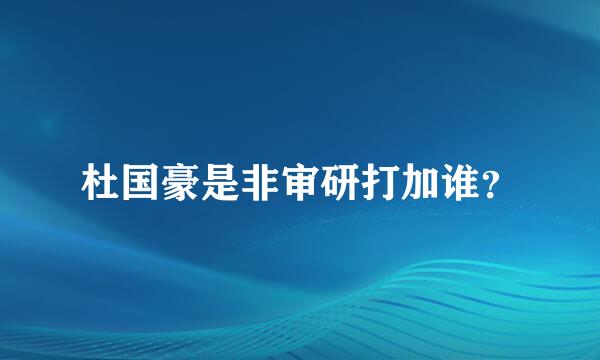 杜国豪是非审研打加谁？