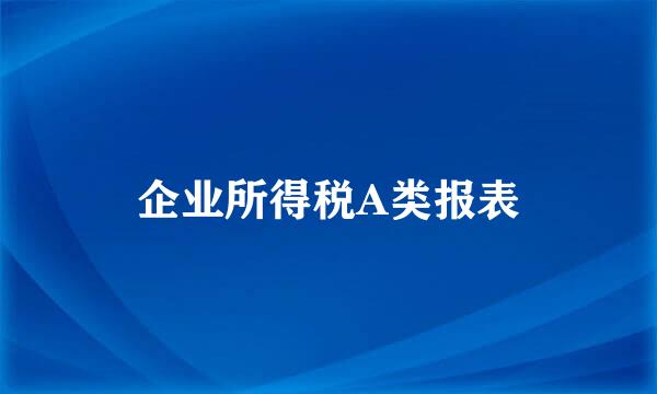 企业所得税A类报表