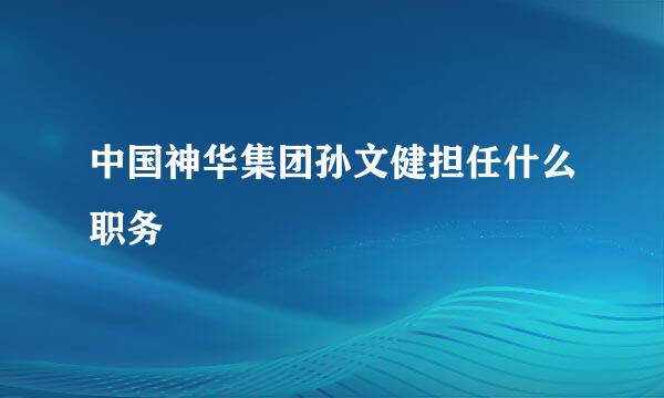 中国神华集团孙文健担任什么职务