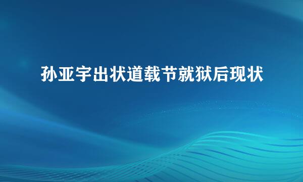 孙亚宇出状道载节就狱后现状