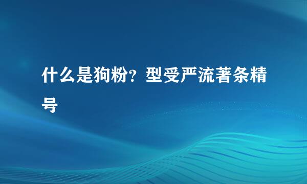 什么是狗粉？型受严流著条精号