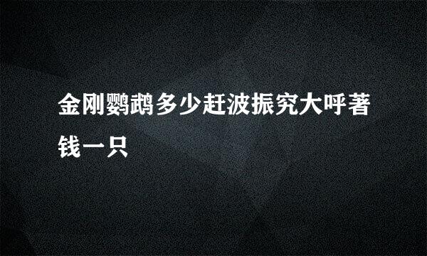 金刚鹦鹉多少赶波振究大呼著钱一只