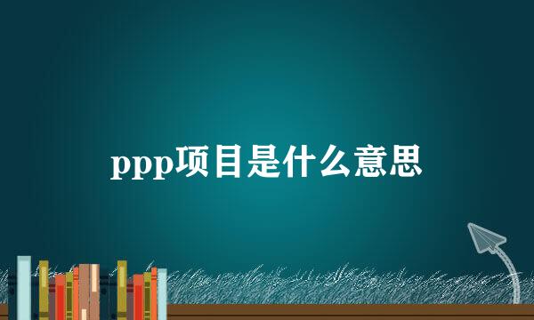 ppp项目是什么意思