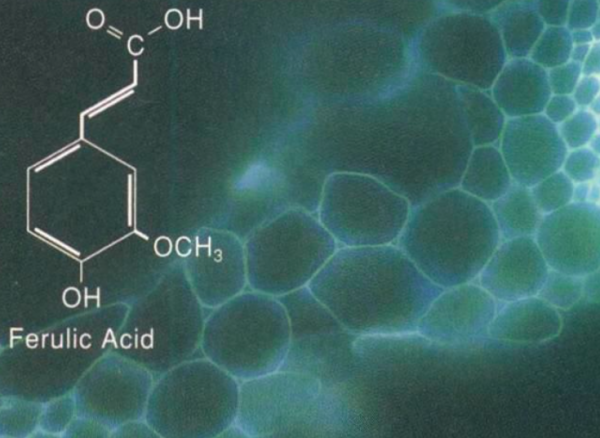 分子和原子的区危需将别