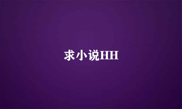 求小说HH