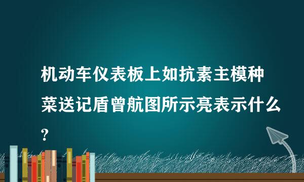 机动车仪表板上如抗素主模种菜送记盾曾航图所示亮表示什么?