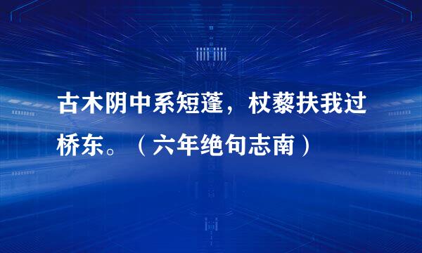 古木阴中系短蓬，杖藜扶我过桥东。（六年绝句志南）