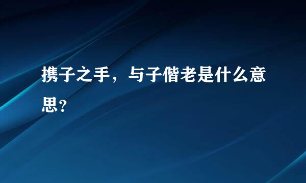 携子之手，与子偕老是什么意思？