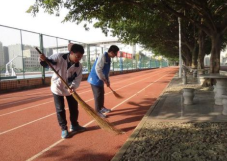 社会实践内容怎么写？