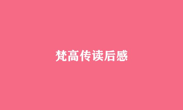 梵高传读后感