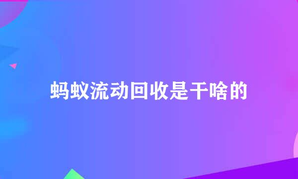 蚂蚁流动回收是干啥的