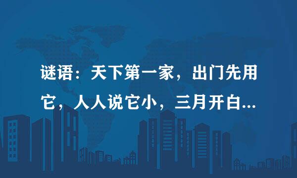 谜语：天下第一家，出门先用它，人人说它小，三月开白花。打四种姓