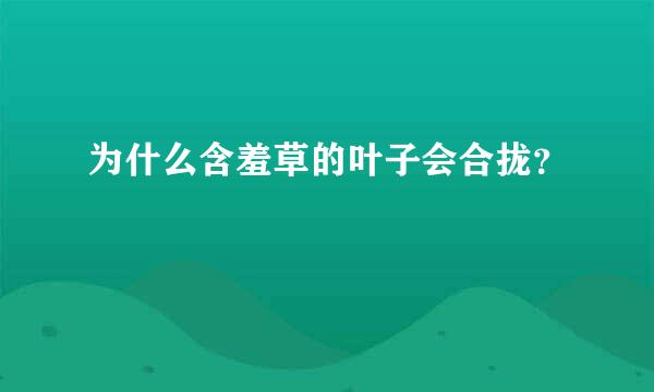 为什么含羞草的叶子会合拢？