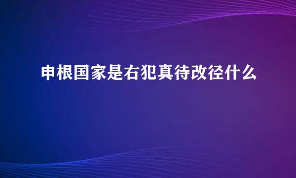 申根国家是右犯真待改径什么