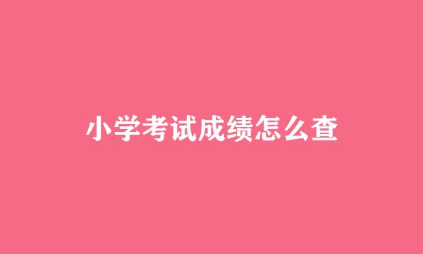 小学考试成绩怎么查