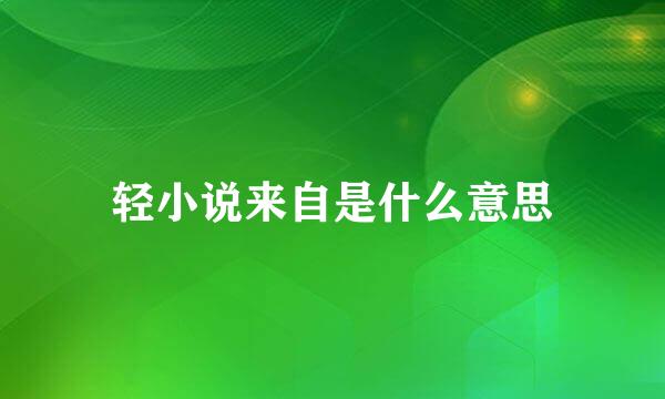 轻小说来自是什么意思