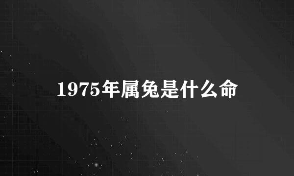 1975年属兔是什么命