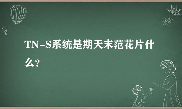 TN-S系统是期天末范花片什么？